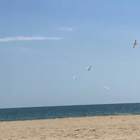 Brymonte Studio, Sunny Day 6 Tŭnkovo